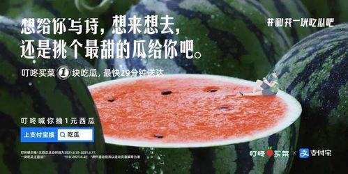 免费吃瓜文案怎么写,揭秘娱乐圈幕后故事  第1张